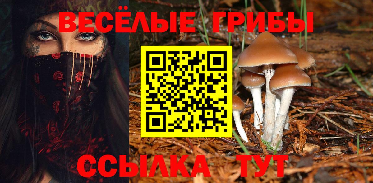 Галлюциногенные грибы прущие грибы Асино
