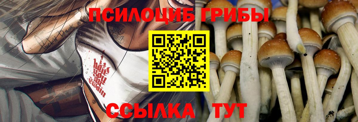 Галлюциногенные грибы MAGIC MUSHROOMS  Вход с VPN  Асино 