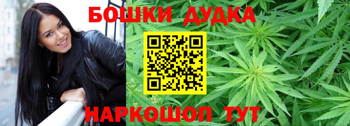 Канабис планчик Асино